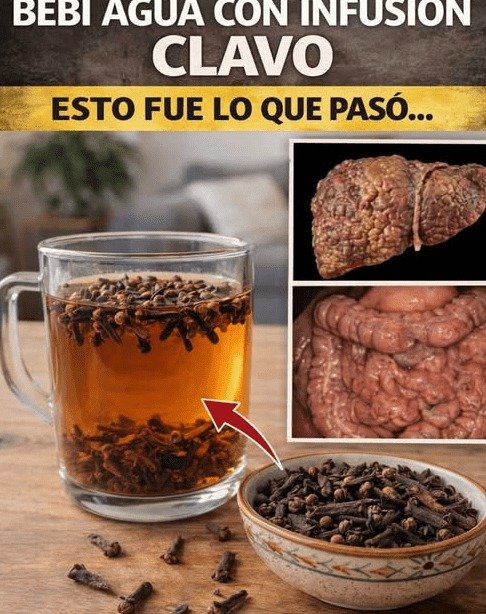 ¡El Hábito Diario de Agua de Clavo que NADIE te ha Contado y que Podría CAMBIAR Tu Vida!