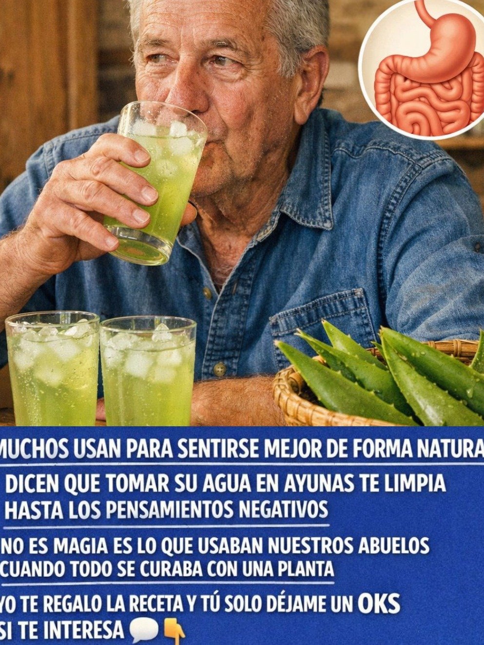 El Secreto Oculto del Aloe Vera: ¿Es REALMENTE la Cura Múltiple que Prometen o una Gran Mentira Viral? ¡La Ciencia Te Deja Sin Palabras!