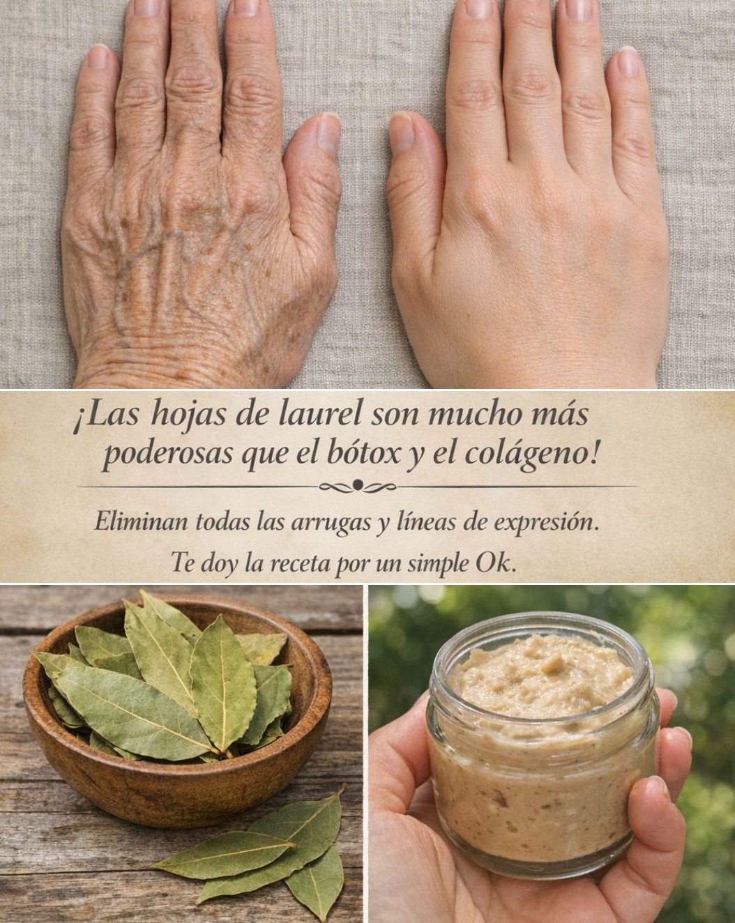 ¡Alto! ¿Usas Laurel SOLO para Cocinar? Descubre los 7 Poderes OCULTOS que Tu Salud Te Agradecerá (¡El #3 Te Volará la Mente!)