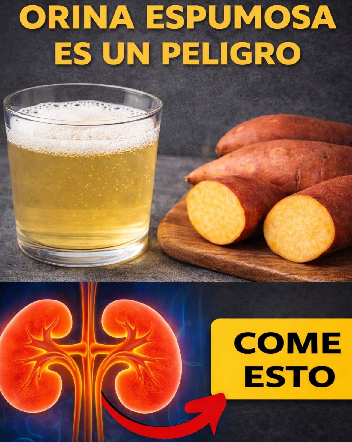 ¡ALERTA! Lo que los médicos NO te dicen sobre los 'superalimentos' para los riñones y la proteinuria: ¿Mito o Milagro?