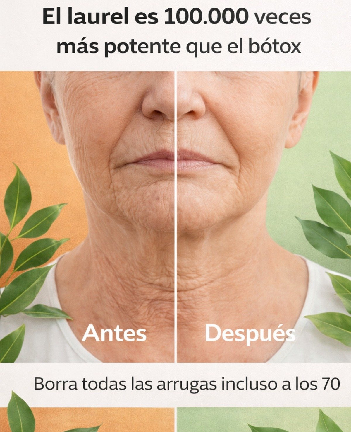 🌿 ¿Es el laurel realmente “100.000 veces más potente que el bótox”? Desvelando la verdad de este remedio natural