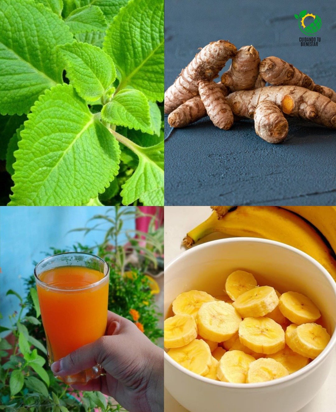 🌿 Recuperando la Salud Naturalmente a los 60: Mi Infusión Transformadora de Cáscara de Plátano, Poleo y Cúrcuma