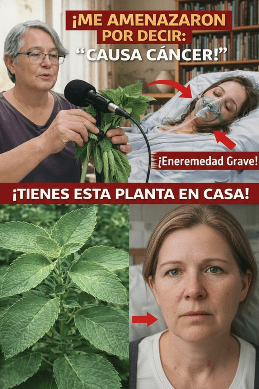 Verduras Fermentadas Japonesas: ¿Un Aliado o un Riesgo Inesperado para tu Salud?