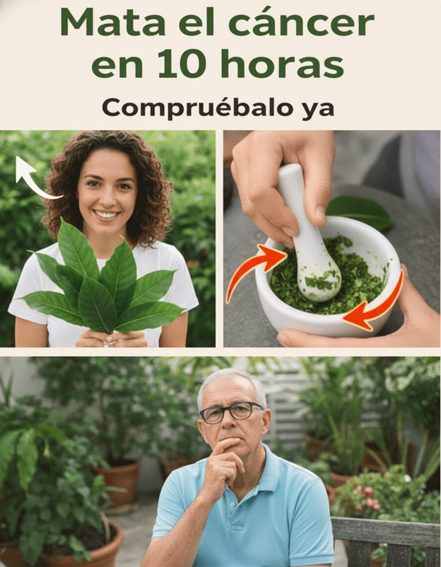 Guanábana: El Secreto Natural Contra el Cáncer que la Ciencia Empieza a Desvelar