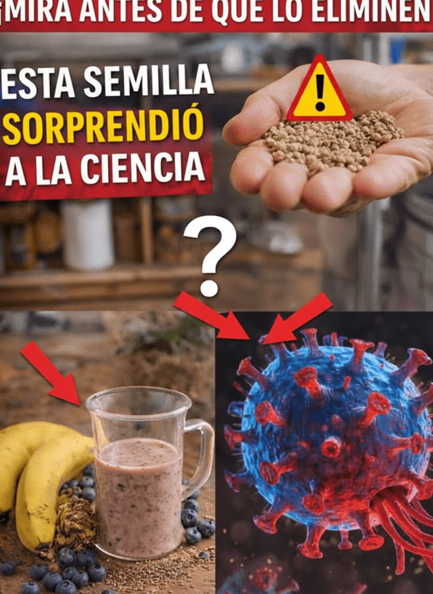 Unlock Nature's Tiny Powerhouses: Seeds That Amazed Science and How to Integrate Them Daily