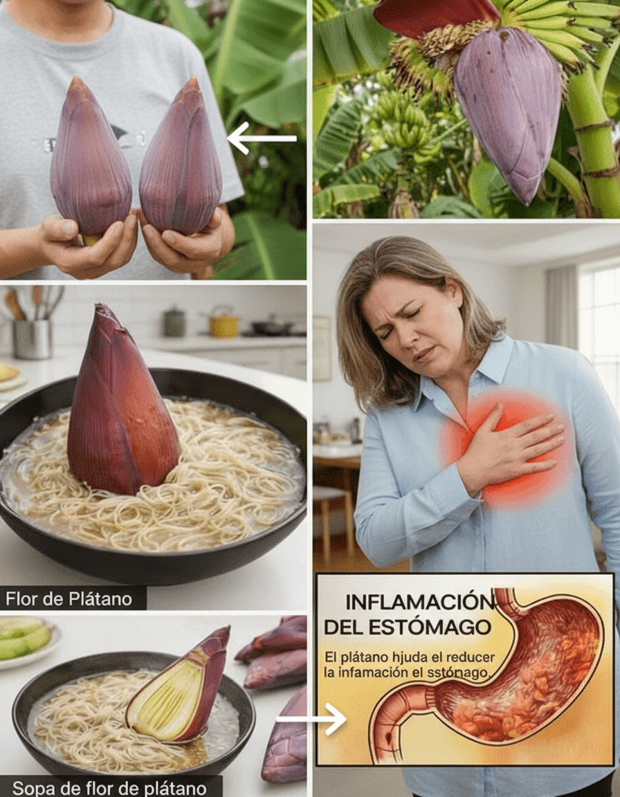 Los Impresionantes Beneficios Nutricionales de la Flor de Plátano y Cómo Integrarla en tu Dieta Diaria