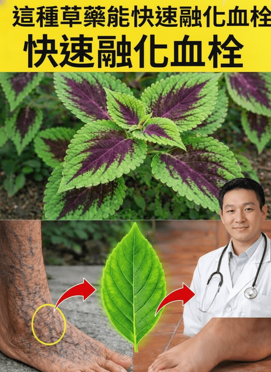 ¿Cómo Optimizar la Circulación Sanguínea en Tus Piernas y Mantenerlas Sanas?