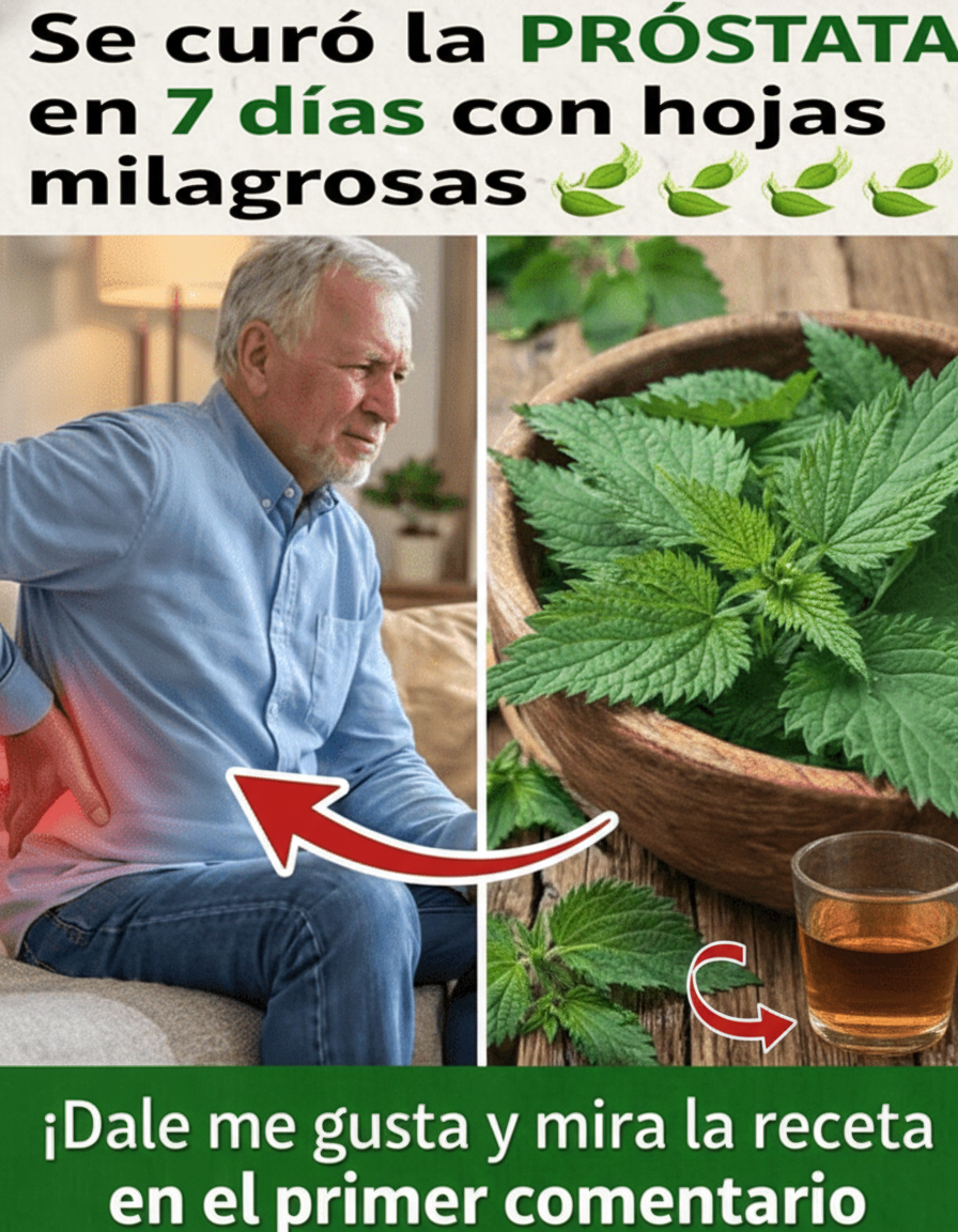 Optimiza la Salud Prostática: El Poder de la Ortiga y Hábitos Naturales para Tu Rutina