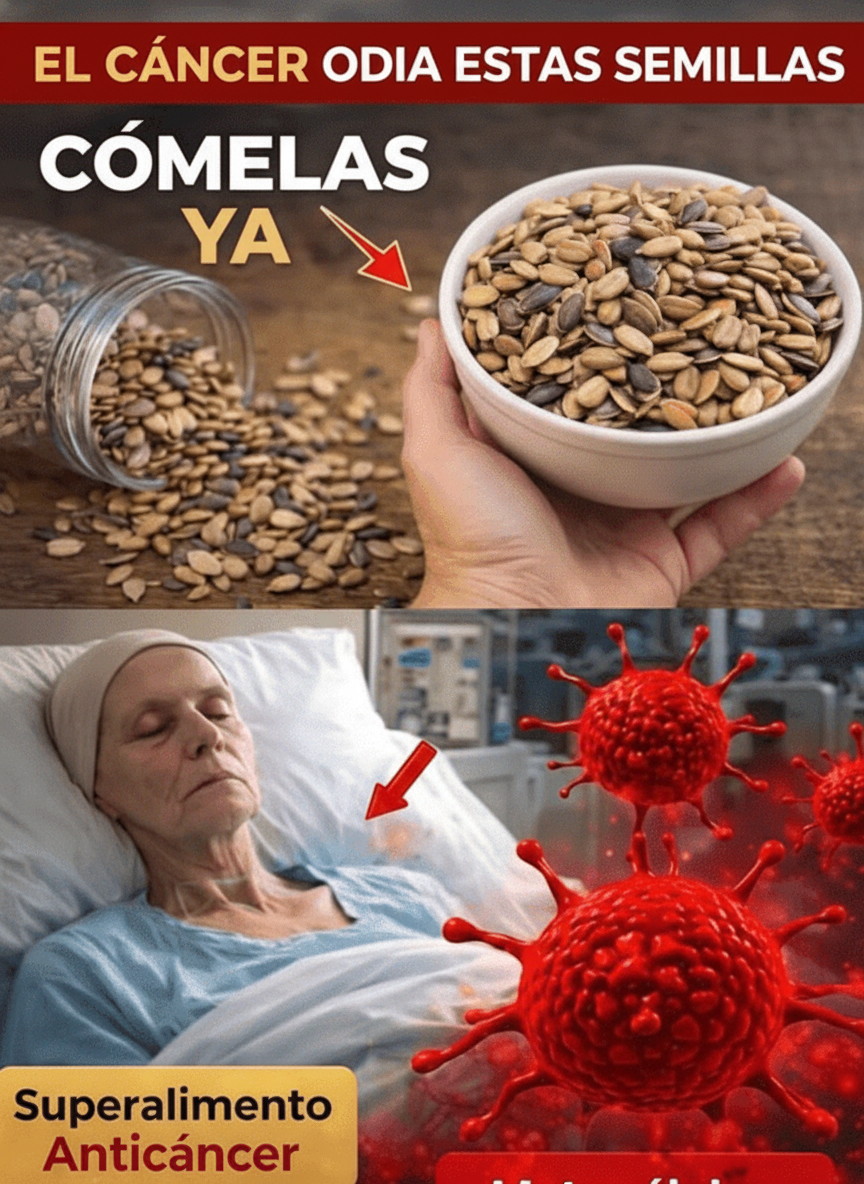 Unlock Daily Vitality: Why These Six Seeds Are Your Everyday Health Ally