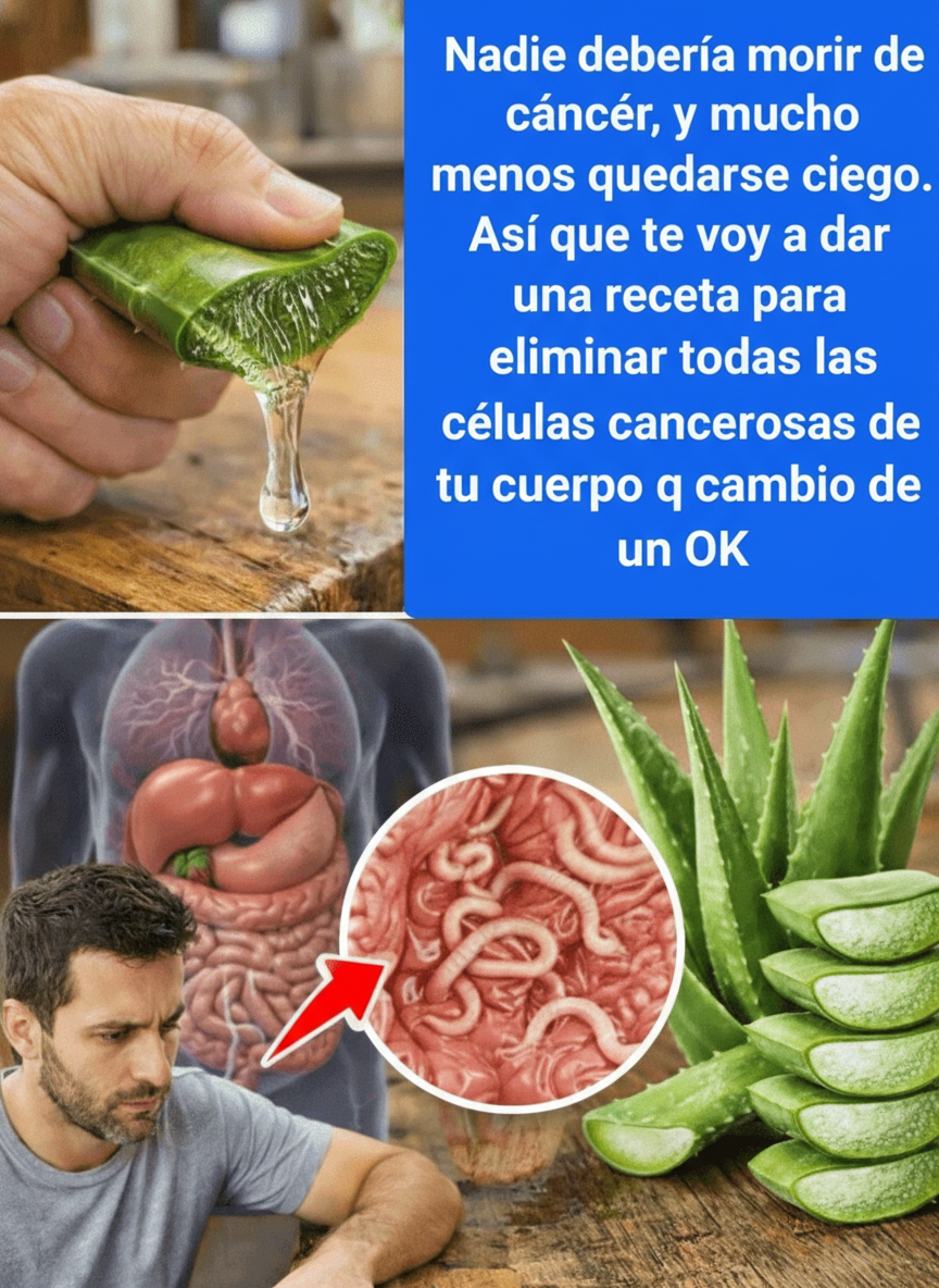 Aloe Vera y Cáncer: Explorando sus Propiedades Naturales y su Rol Complementario en el Bienestar Oncológico
