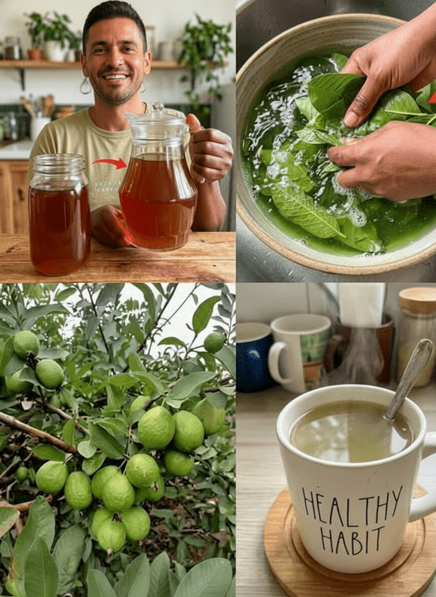 Unlocking Gentle Wellness: The Overlooked Benefits of Guava Leaf Tea for Seniors