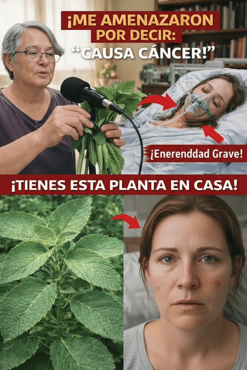 ¿Verduras Fermentadas Japonesas: Un Doble Filo para tu Salud? Lo que la Ciencia Revela