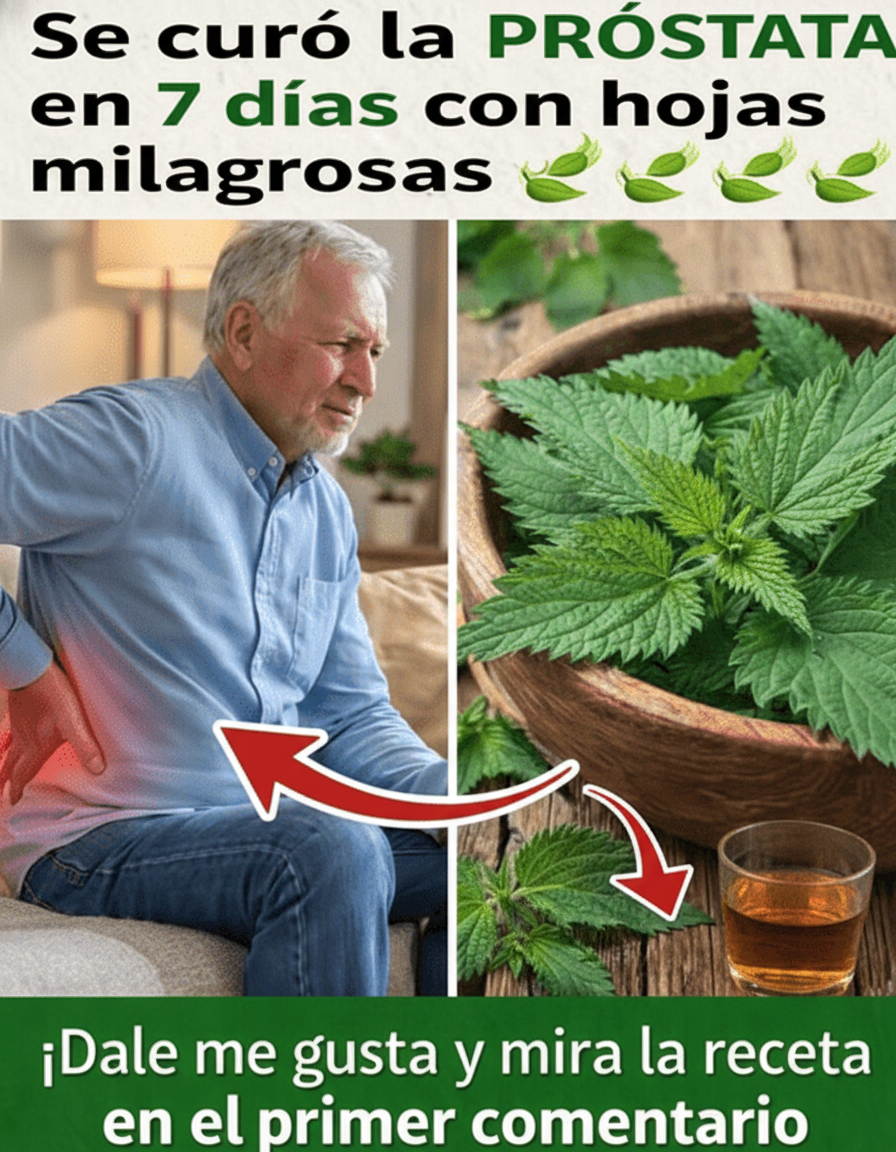 Ortiga y Salud Prostática: Un Aliado Natural para el Bienestar Masculino en Tu Rutina Diaria