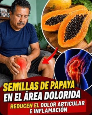 ¡Alerta! ¿Semillas de Papaya para el Dolor Articular? El Peligroso Error que Casi Nadie Te Cuenta (Y Cómo Evitarlo)