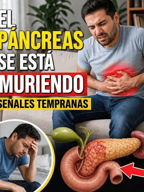¡Alerta! Tu Páncreas Te Grita Ayuda: 7 Señales Silenciosas que NUNCA Debes Ignorar (La Última Podría Salvarte)