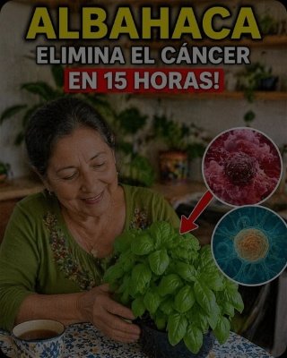 El SECRETO de tu albahaca en casa: ¿Realmente protege tu salud? ¡El hábito que NADIE te cuenta y que podría cambiarlo TODO!
