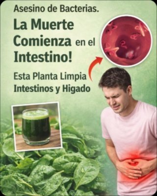 ¡Alerta Saludable! El Secreto Oculto de la Espinaca para un Intestino Impecable y Energía Desbordante que Nadie Te Cuenta