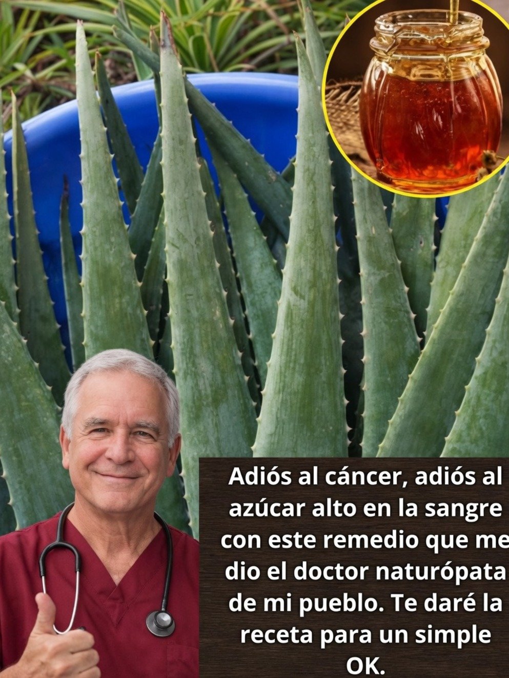 ¡Detente! Antes de Usar Aloe Vera con Miel: La VERDAD Oculta que Nadie Te Cuenta (y los 7 Beneficios que SÍ FUNCIONAN)