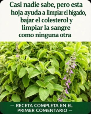 ¡El Secreto Ancestral Revelado! Esta Planta Mágica LIMPIA tu Hígado y Transforma tu Digestión en Días (¡No te lo pierdas!)