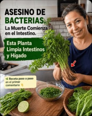 ¡No Caigas! El Mito del Cilantro 'Mata Bacterias' y el Hábito SECRETO que Miles de Mayores en México Olvidan para una Digestión PERFECTA