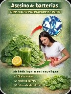 ¡El Secreto Verde que Nadie Te Cuenta! Transforma Tu Intestino y Energía en Días con Espinaca