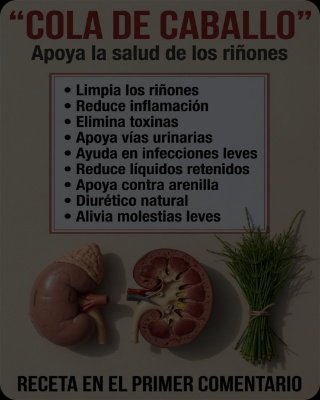 ¡ALERTA! Tu Cuerpo Te Lo Pide: Los 7 Secretos de la Cola de Caballo que NADIE te ha contado (¡Beneficios Reales y Cómo Usarla Sin Riesgos!)