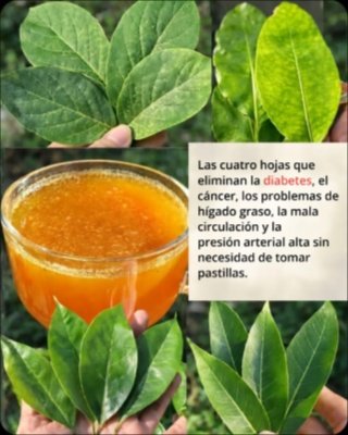 Tu Bienestar Diario NUNCA Será Igual: Descubre el Poder Oculto de Estas 4 Hojas de Té Herbal (¡El #4 Te Sorprenderá!)