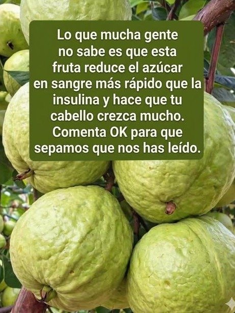 ¡ALERTA! Si Luchas con el Azúcar, ESTA Fruta Tropical Es Tu NUEVO Aliado Secreto (El Poder Oculto de la Guayaba)