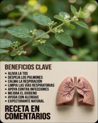 ¡El Secreto Olvidado de la Naturaleza! Esta Planta Silvestre Esconde 7 Poderes Curativos Que Transformarán Tu Salud Hoy Mismo