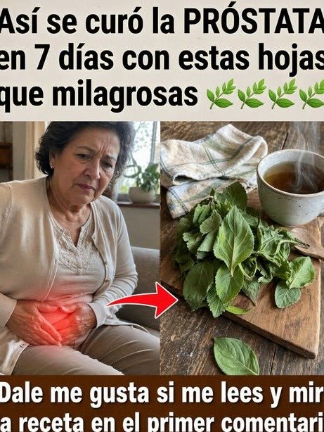 ¡El Secreto Ancestral Revelado! 6 Beneficios Sorprendentes de la Raíz de Ortiga que Transformarán Tu Salud (Guía Viral Completa)