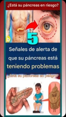 ¡No te lo Creerás! 5 Señales URGENTES Que Tu Páncreas Te Está Enviando (Y Podrías Estar Ignorando)