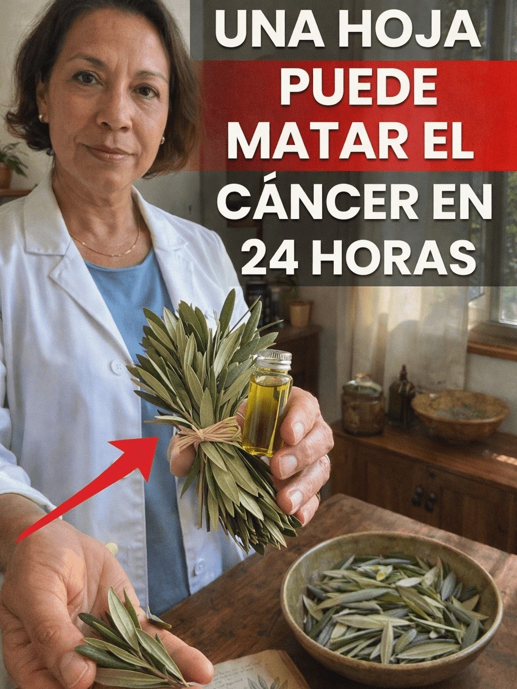 ¡El Secreto Olvidado que Barbara O'Neill Reveló! Tu Médico NUNCA te Habló de la Hoja de Olivo y Así Puede Cambiar Tu Vida.