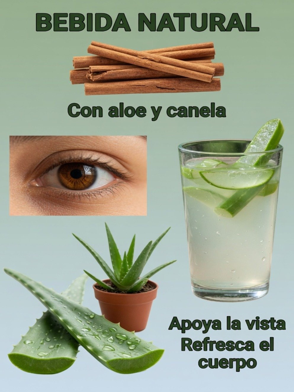 ¡Atención! 16 Problemas de Salud que el Aloe Vera Puede Resolver (La Ciencia Lo Confirma y Tienes que Saberlo)