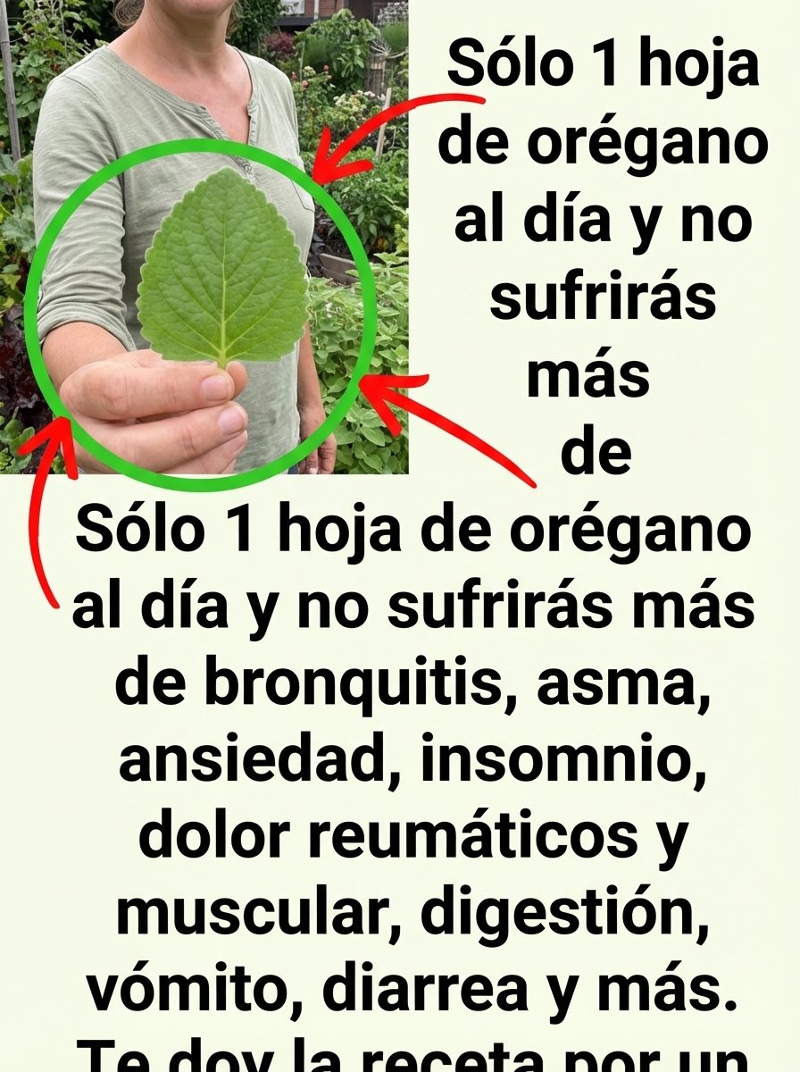 ¡Cuidado! La "Hoja Milagrosa" que Todos Quieren para Su Salud: ¿Es el Kalanchoe tu PRÓXIMO Secreto de Bienestar o un Peligro Oculto? Descubre la Verdad Impactante