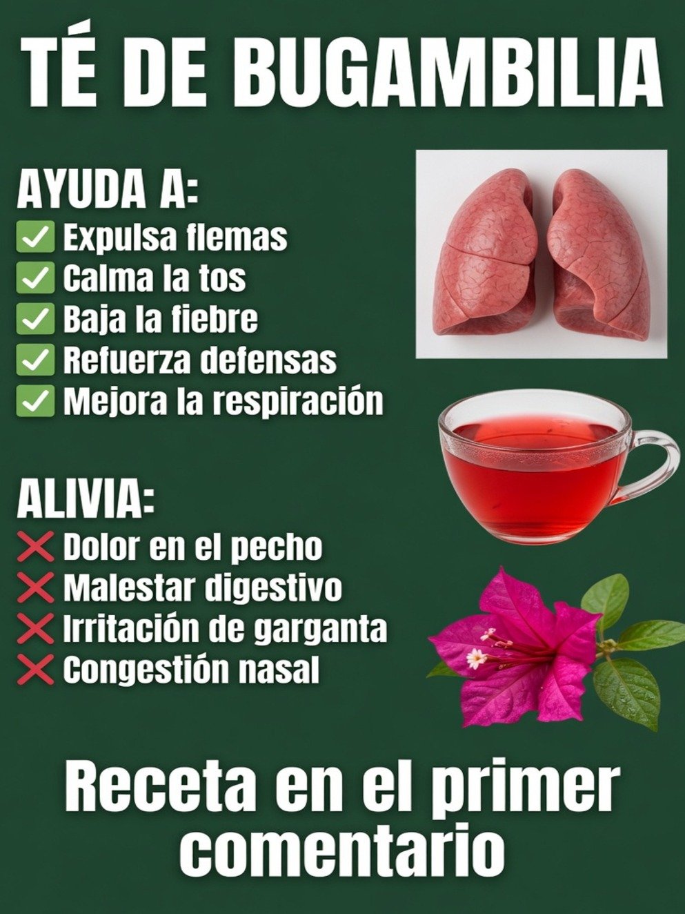 ¡El SECRETO de tu abuela que NO te contaron! Esta flor común puede REVOLUCIONAR tus pulmones y la tos