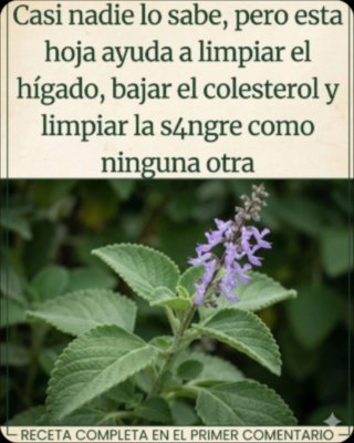 ¡El Secreto Olvidado de tu Cocina! Cómo el Orégano Puede REVOLUCIONAR tu Vista y Proteger tus Ojos de las Pantallas