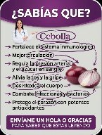 ¿Tienes una Cebolla Morada en Casa? 🧅 Descubre el Remedio ANCESTRAL que Refuerza tu Salud y Te Protege ¡Naturalmente!