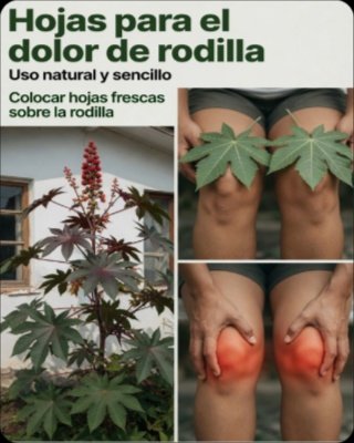 ¡El Secreto Ancestral Revelado! 🤫 Transforma tu Cabello y Piel con el Aceite de Ricino: ¿Por Qué NADIE te lo había contado?