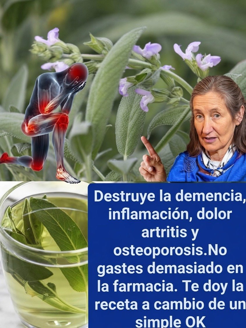 ¡No Estás Usando la Salvia Correctamente! Descubre Sus 7 Secretos Curativos y Transforma Tu Salud HOY