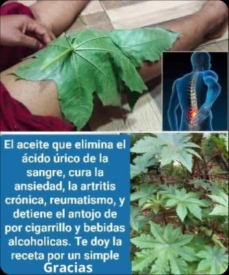 ¡ATENCIÓN! Si NO usas el Aceite de Ricino ASÍ, estás PERDIENDO sus Mayores Beneficios para Tu Pelo y Piel (Sin Mitos)