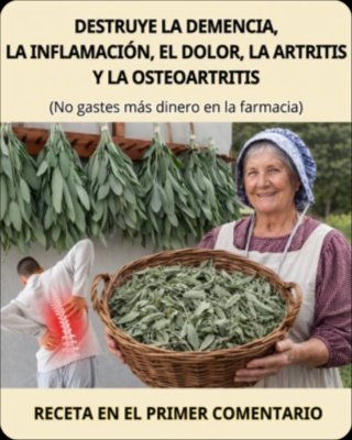 ¡La VERDAD Oculta de la Salvia! Esta Hoja Común Esconde 7 Secretos para tu Salud que Nadie Te Cuenta (¡No es magia, es ciencia!)