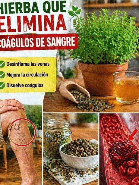 ¡Despídete de las Piernas Pesadas! El Secreto NATURAL que NADIE te Cuenta para una Circulación Perfecta HOY
