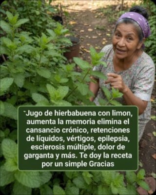 ¡Adiós Hinchazón! El Remedio Viral de Hierbabuena y Limón que Tu Estómago Necesita HOY Mismo