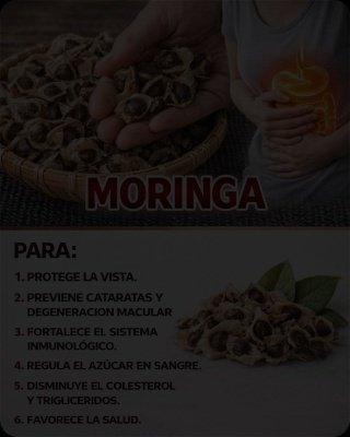 ¡El Secreto SILENCIOSO que Transformará tu Salud! Descubre los 10 Poderes OCULTOS de las Semillas de Moringa (y por qué NECESITAS probarlas YA)