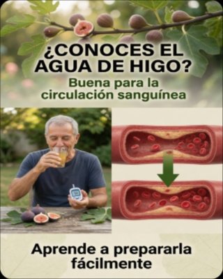 ¡No creerás lo que tus abuelos sabían! Las hojas de higo: ¿Remedio milagroso o el engaño más grande? La ciencia revela la verdad