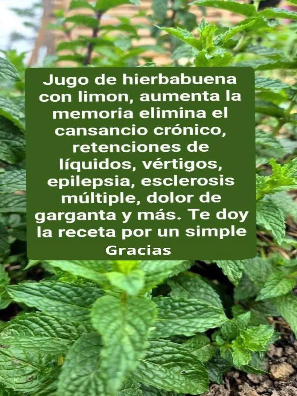 ¡Alerta! Si No Estás Tomando Esto, Te Estás Perdiendo el Secreto para Limpiar, Rejuvenecer y Multiplicar Tu Energía al Instante