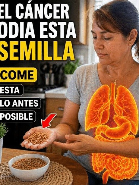 ¡ALERTA! La VERDAD que NADIE te Cuenta sobre las Semillas si Tienes Más de 50 en México (Podrías Estar Equivocado)