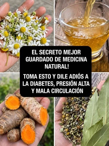 🚨 ¡Alerta Salud! El ÚNICO Té Natural que Estabiliza Tu Azúcar y NADIE Te Ha Contado (¡No Hagas Esto Antes de Probarlo!)