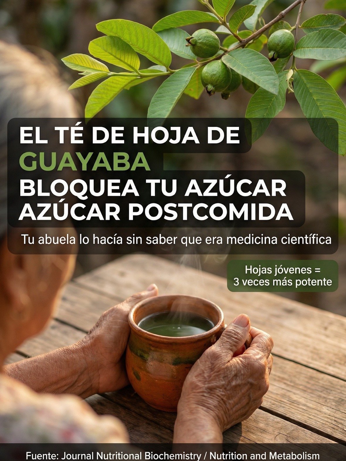 ¡El SECRETO de Abuela Revelado! Esta Hoja Común Baja Tu Azúcar y Controla la Diabetes ¡La Ciencia Lo Confirma!