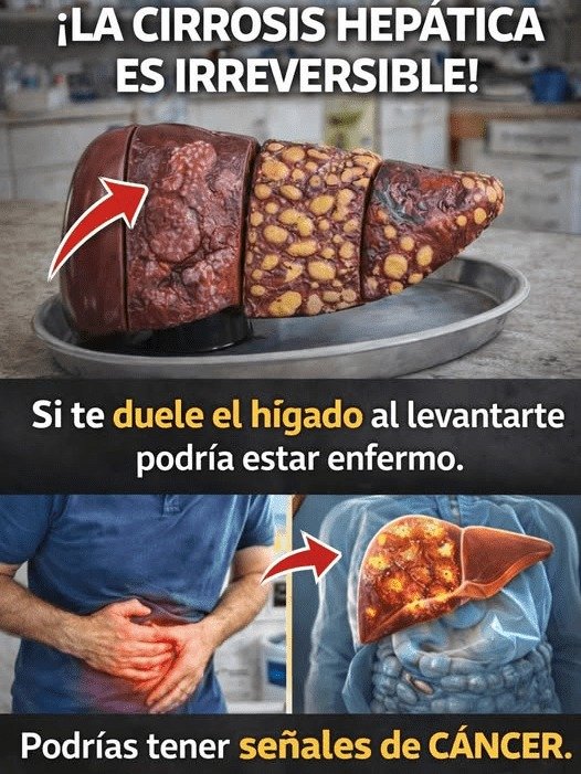 ¡ALERTA! Tu Hígado Podría Estar Fallando EN SILENCIO: 4 Señales MATUTINAS que NUNCA Debes Ignorar (La Última te Sorprenderá)